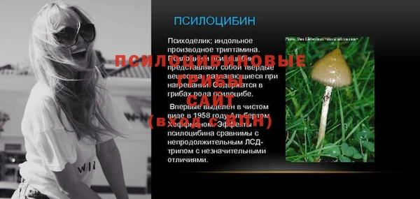 хмурый Балабаново