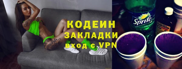 индика Баксан
