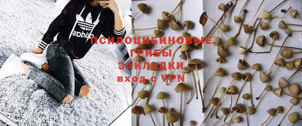 индика Баксан