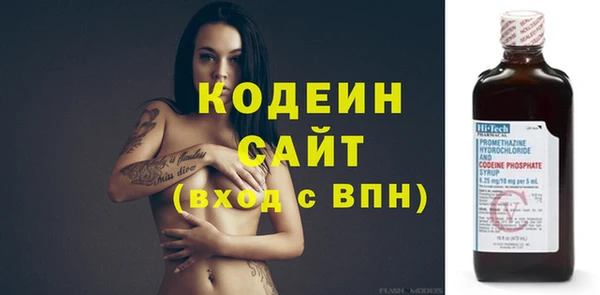 индика Баксан