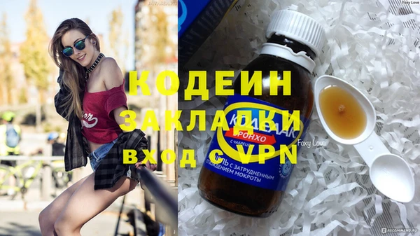 индика Баксан
